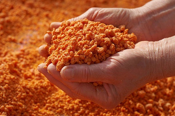 Ev Yapımı Tarhana 1 Kg